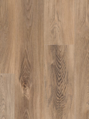 Моррито SW 1041 — изображение 5