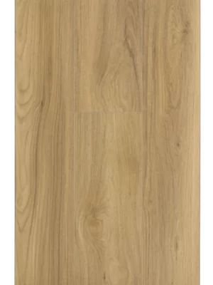 Летний дымчатый дуб — изображение 1