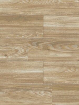 Rumba — изображение 3