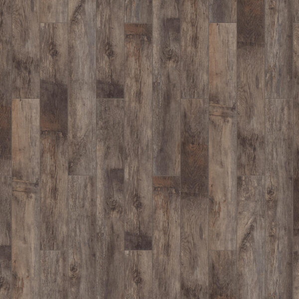 th_timber_forester_oak_alghero.jpg