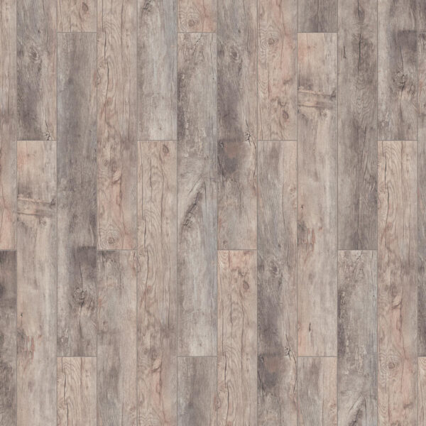 th_timber_forester_oak_oristano.jpg