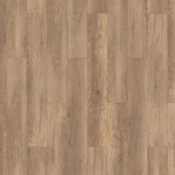 th_timber_harvest_oak_maverick.jpg