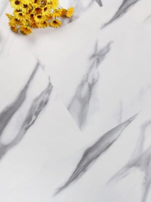 Удина — изображение 1