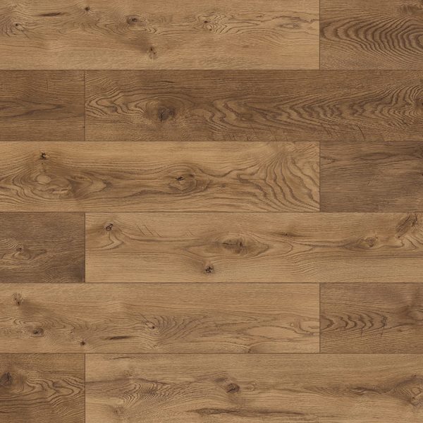 53344 Дуб Медина