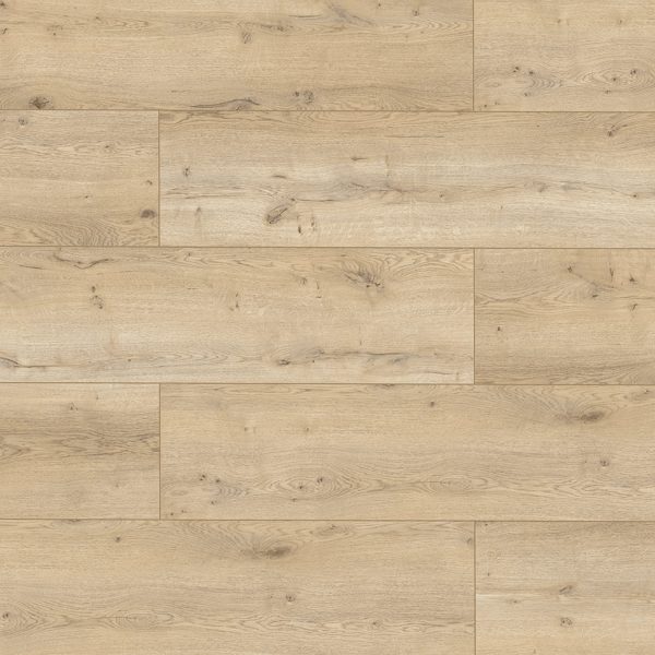 55233 Дуб Вальдоф