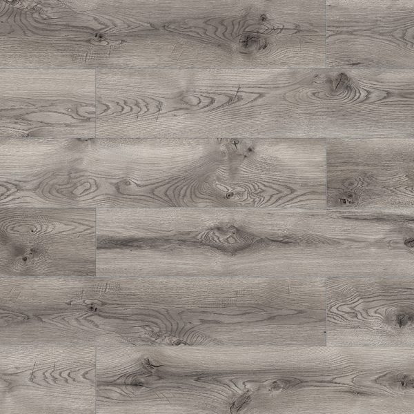 55279 Дуб Фламант