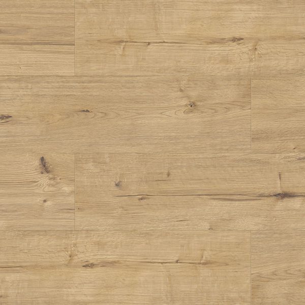 56215 Дуб серый