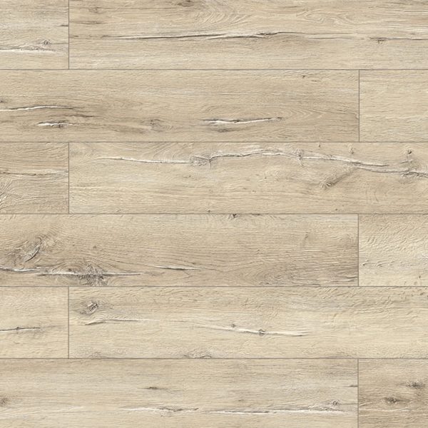 56570 Дуб Аликанте