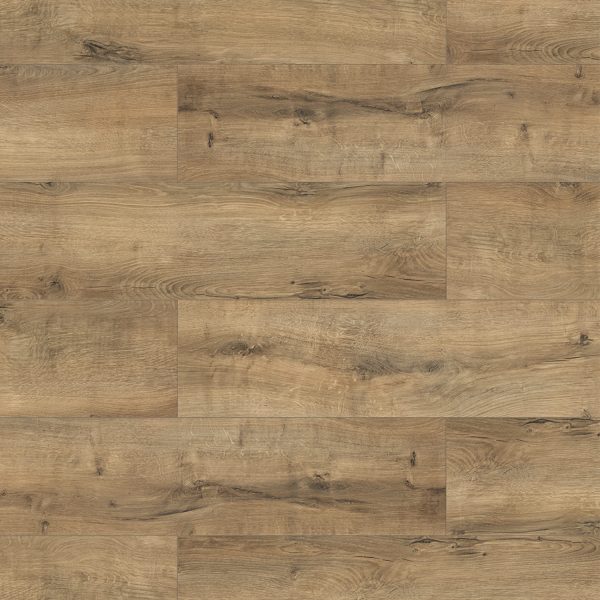 56572 Дуб Марстон 2