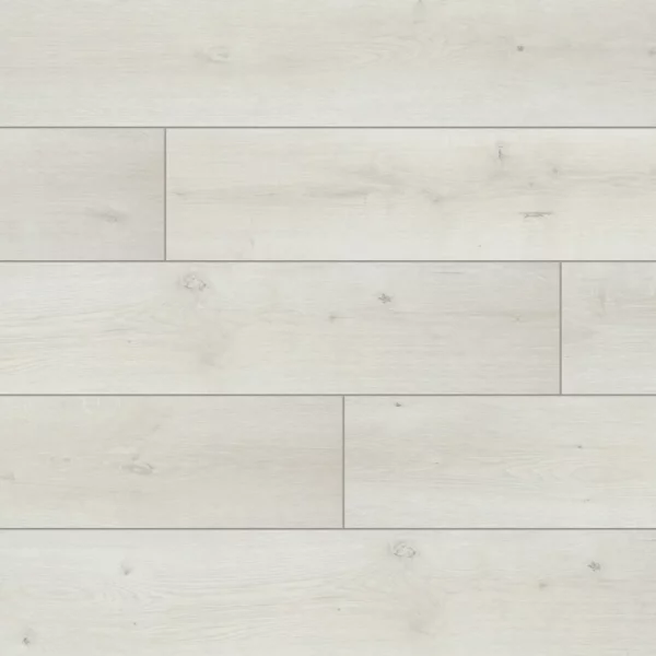 56886 Дуб белый