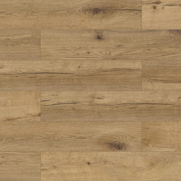 62741 Дуб Камден