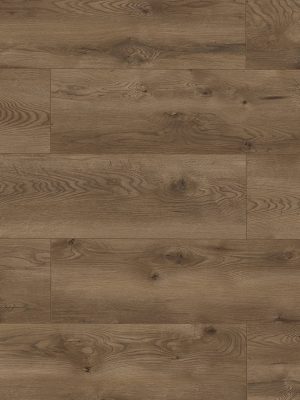 63110 Дуб Сиена — изображение 1