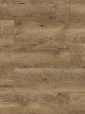 63127 Дуб Альбиано — изображение 1