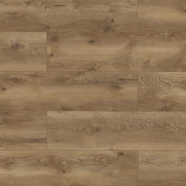 63127 Дуб Альбиано 2