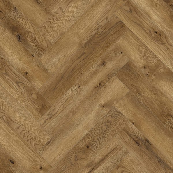 63270 Дуб Таррагона 2