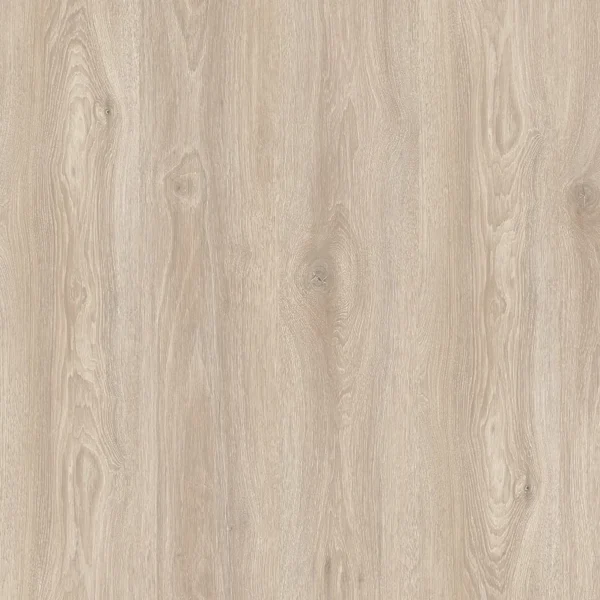 Дуб Рассветный