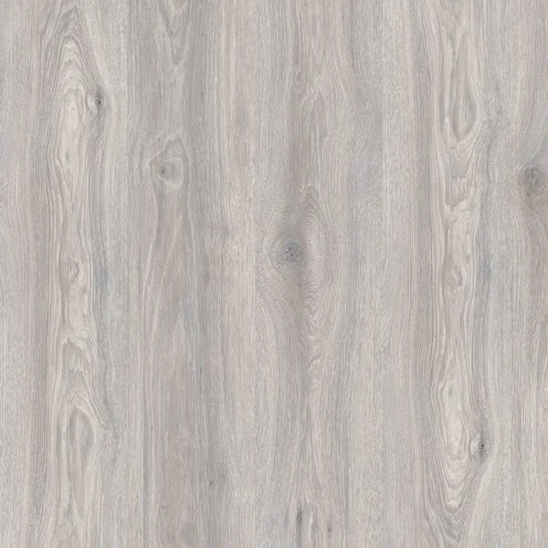 Дуб Северное сияние