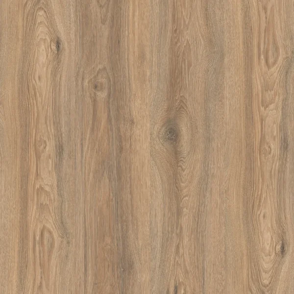 Дуб Скалистый