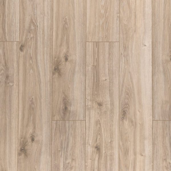 301 ДУБ ФРАКИЙСКИЙ