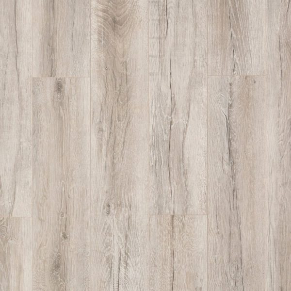 401 ДУБ БОНЭЙР