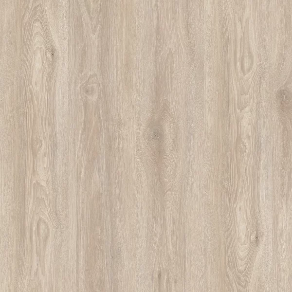 Дуб Рассветный 1