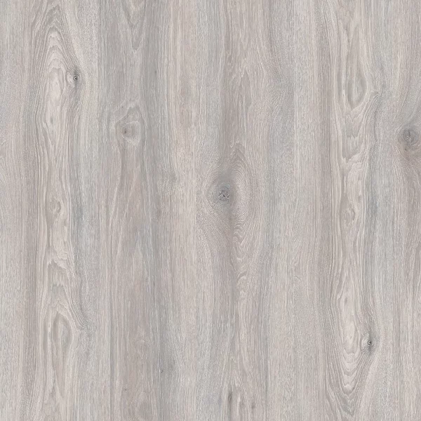 Дуб Северное сияние 1