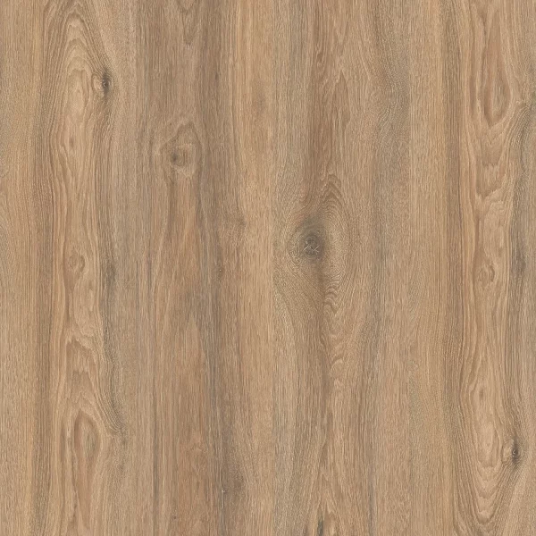 Дуб Скалистый 1