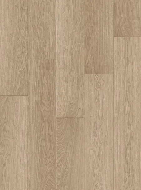 Дуб Солёный бриз 1