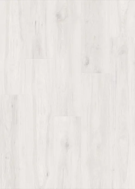 Дуб Зимний 1